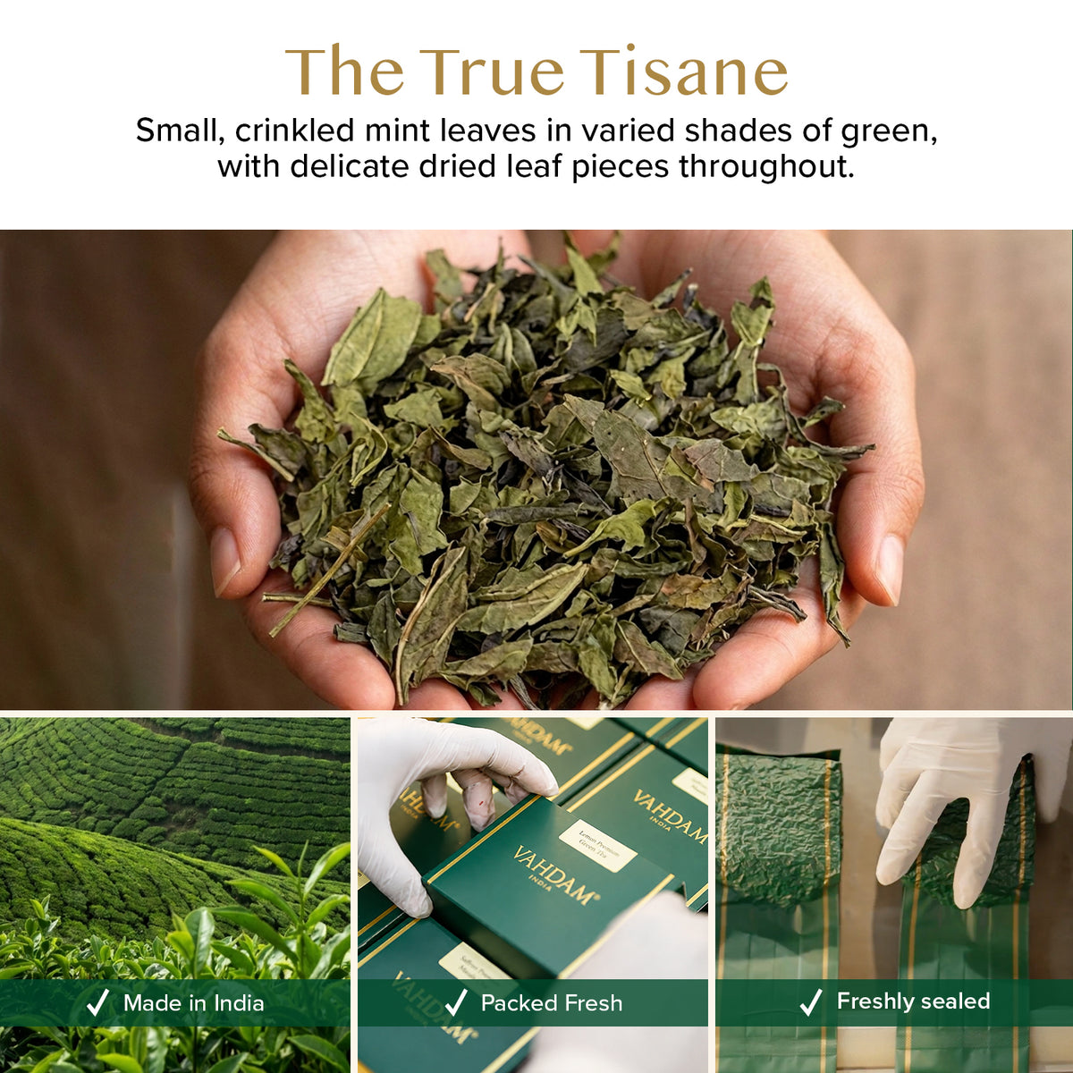 Pure Mint Herbal Tea Tisane, 100 Count