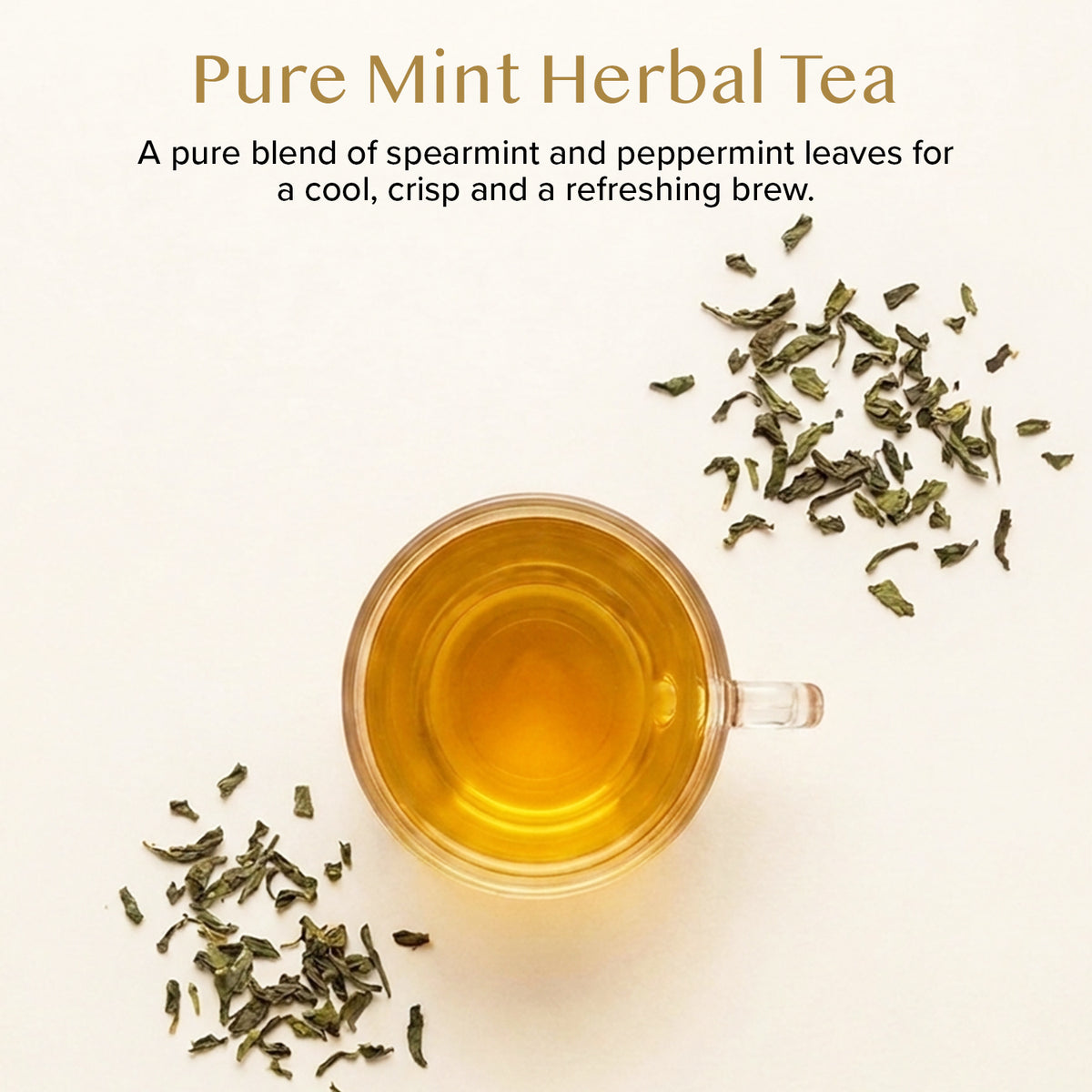 Pure Mint Herbal Tea Tisane, 100 Count