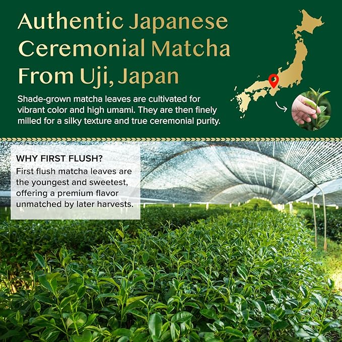 Ceremonial Matcha Green Tea Powder- 30g