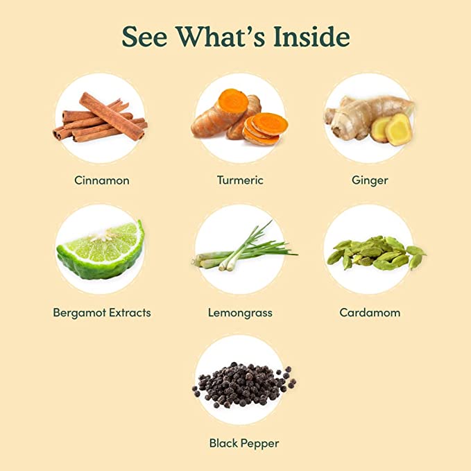 Turmeric Spiced Herbal Tea Tisane, 7.06oz/200g