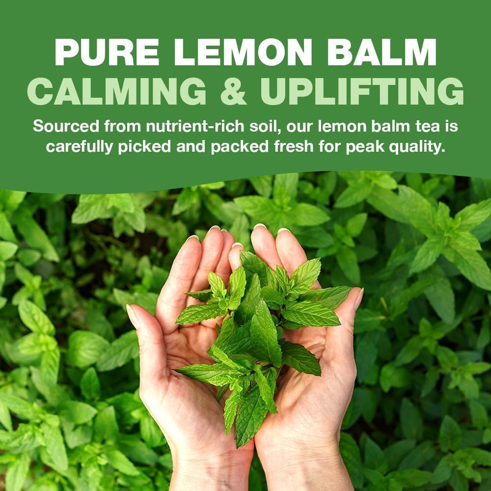 Lemon Balm Tea Bags – 100 Count Caffeine-Free Tea
