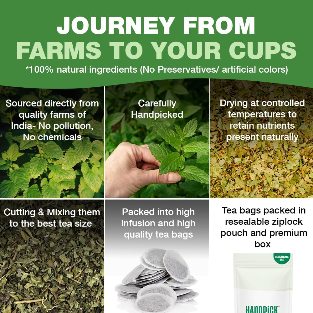 Lemon Balm Tea Bags – 100 Count Caffeine-Free Tea