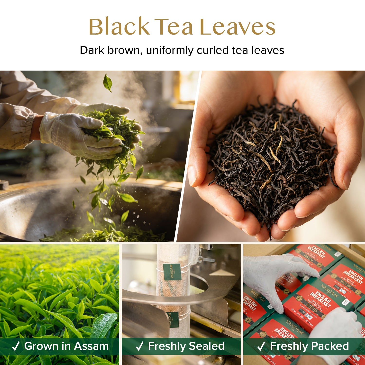 English Breakfast Black Tea, 100 Count