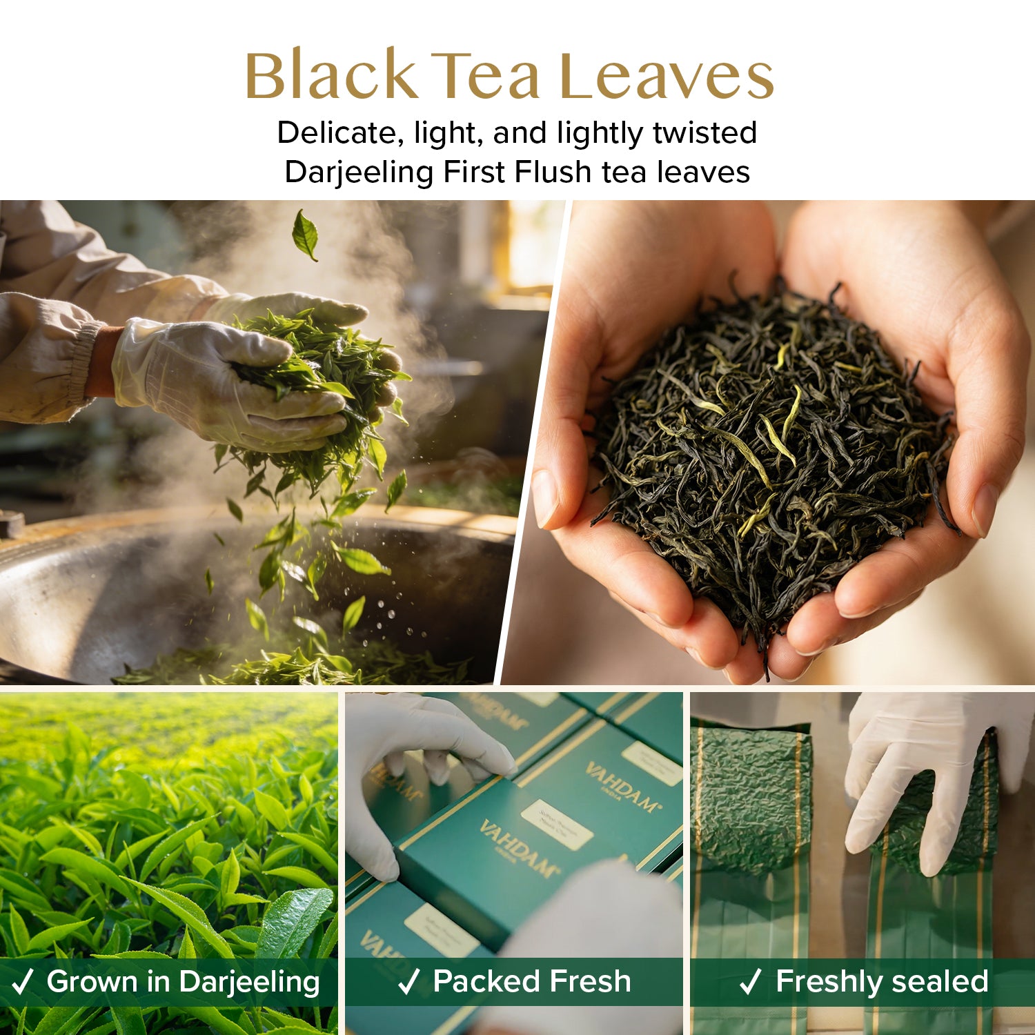 Darjeeling Premium First Flush Black Tea, 3.53oz/100g