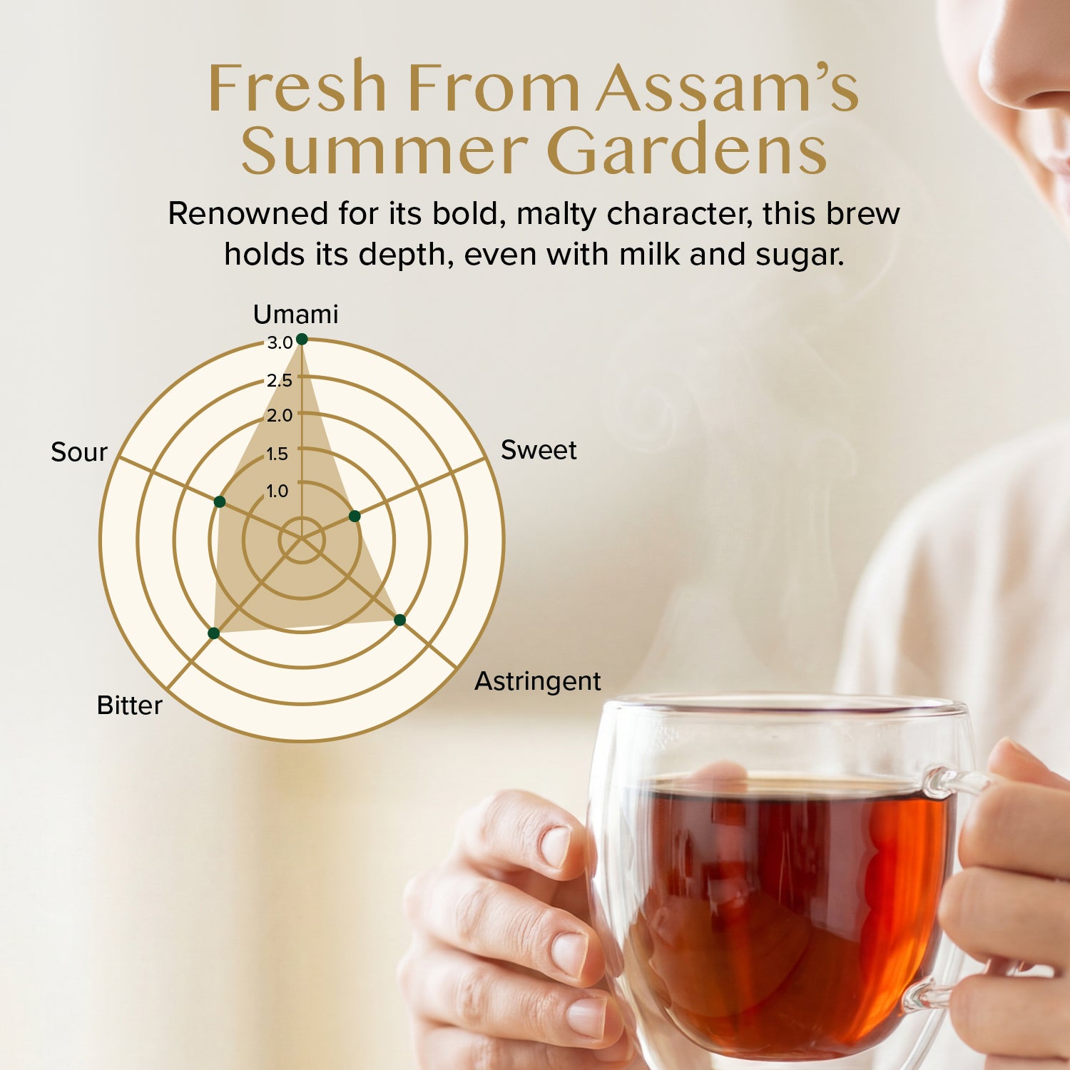 Applause CTC Assam Black Tea, 12oz/340g