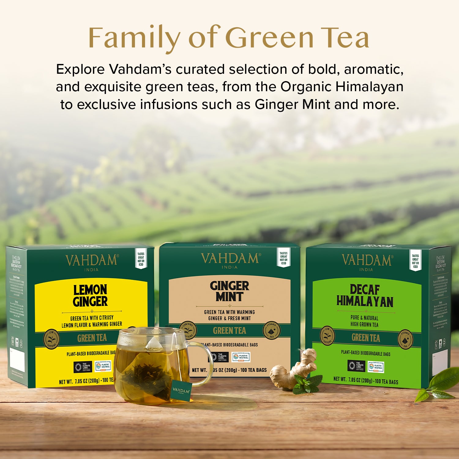Ginger Mint Green Tea, 100 Count
