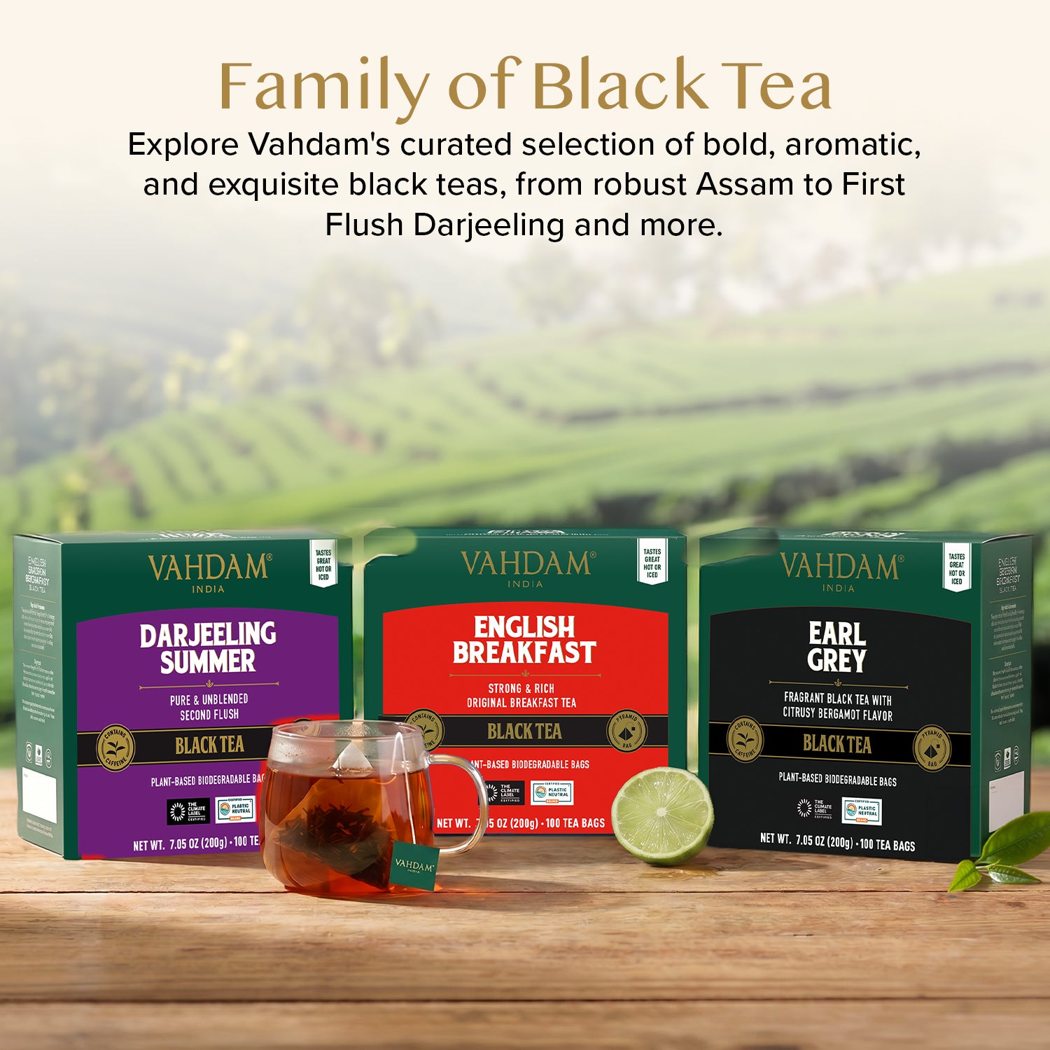 English Breakfast Black Tea, 100 Count