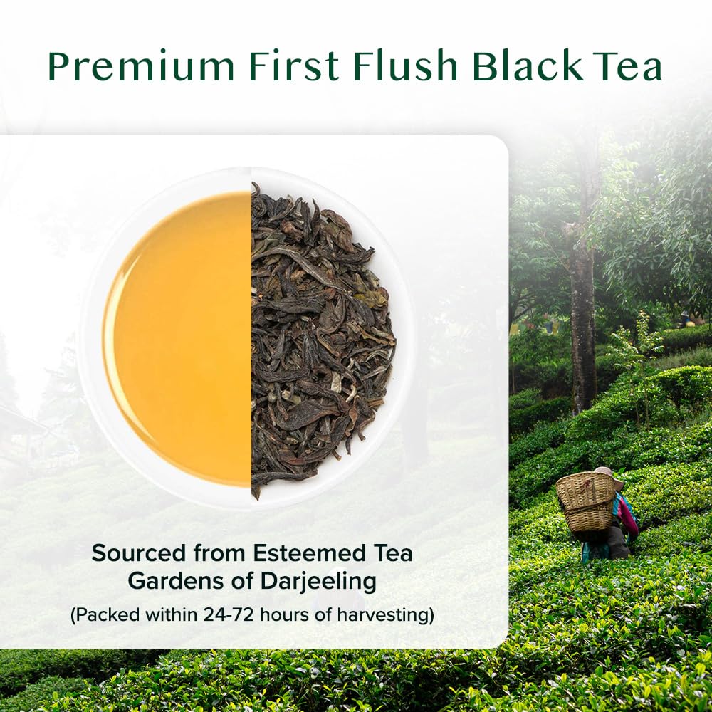 Darjeeling Premium First Flush Black Tea, Loose Leaf | VAHDAM®