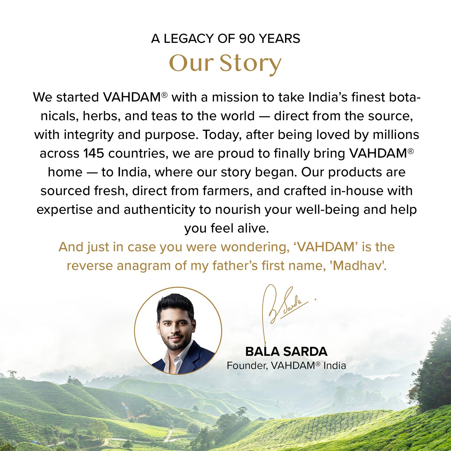 English Breakfast Black Tea, 100 Count