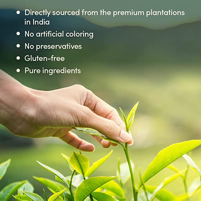 Himalayan Green Tea Loose Leaf 12 oz VAHDAM®