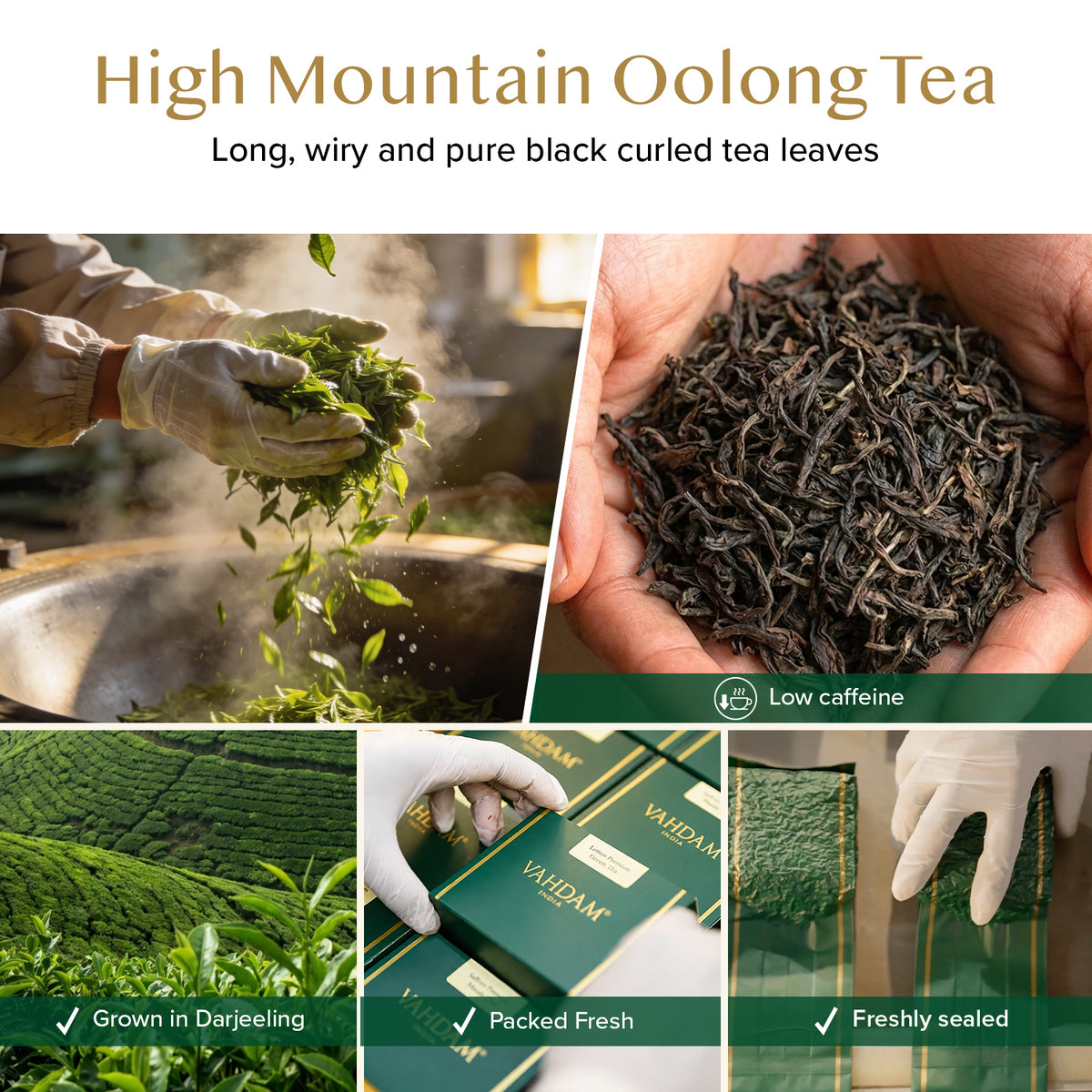 High Mountain Oolong Tea, 100 Count