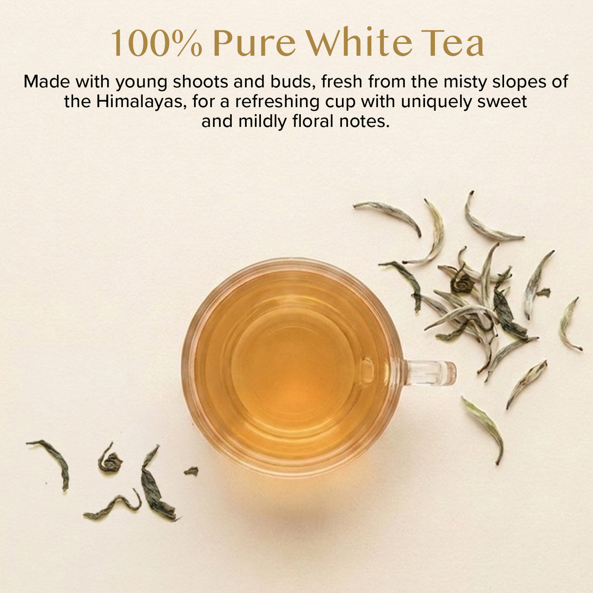 Imperial Himalayan White Tea, 15 Count