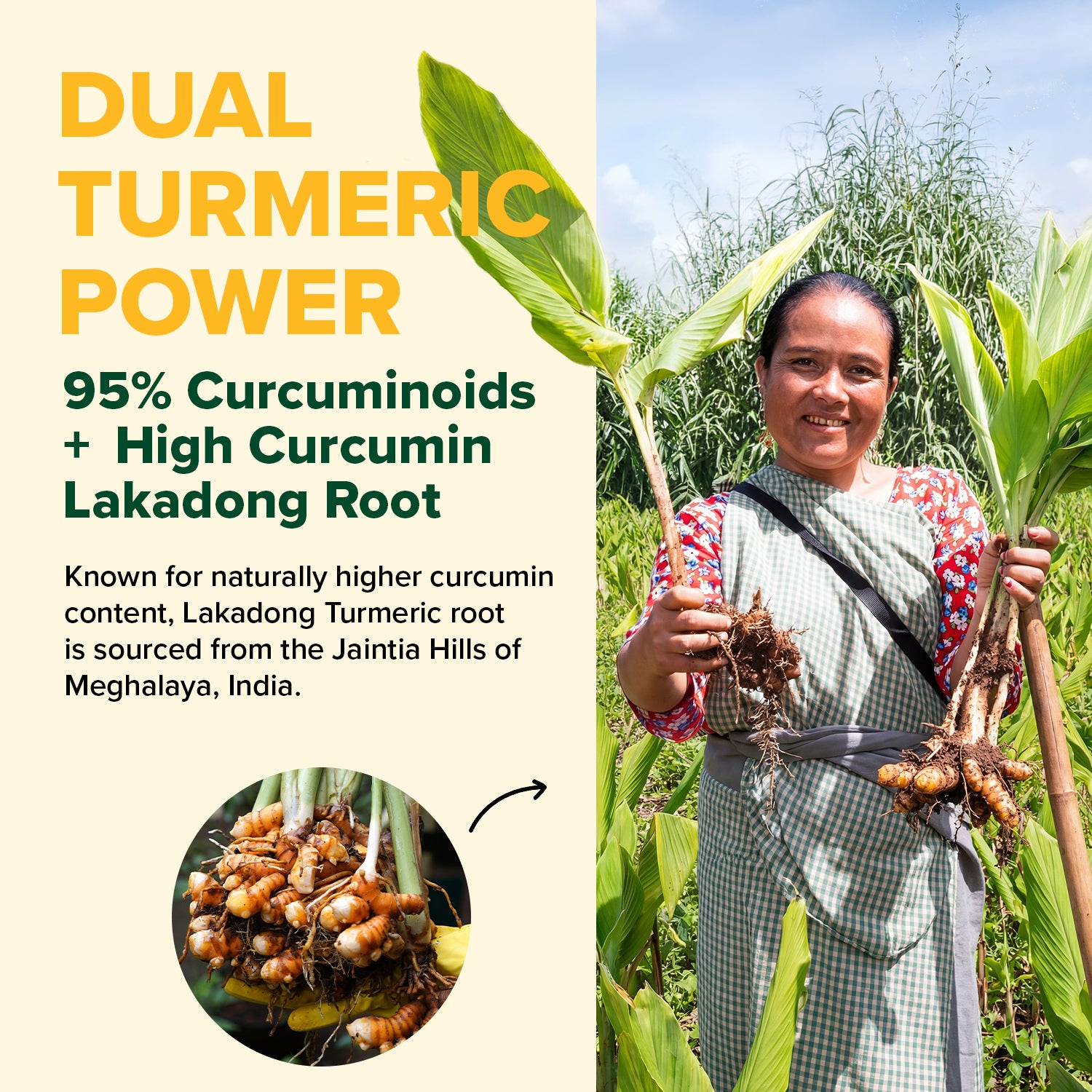 Turmeric Curcumin - 1800mg with Boswellia & Piperine