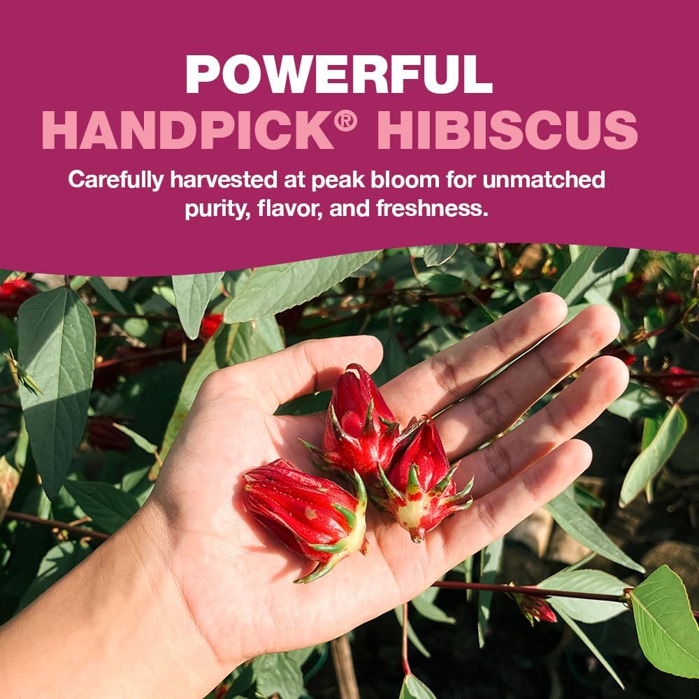 Hibiscus Tea Bags - 100 Count