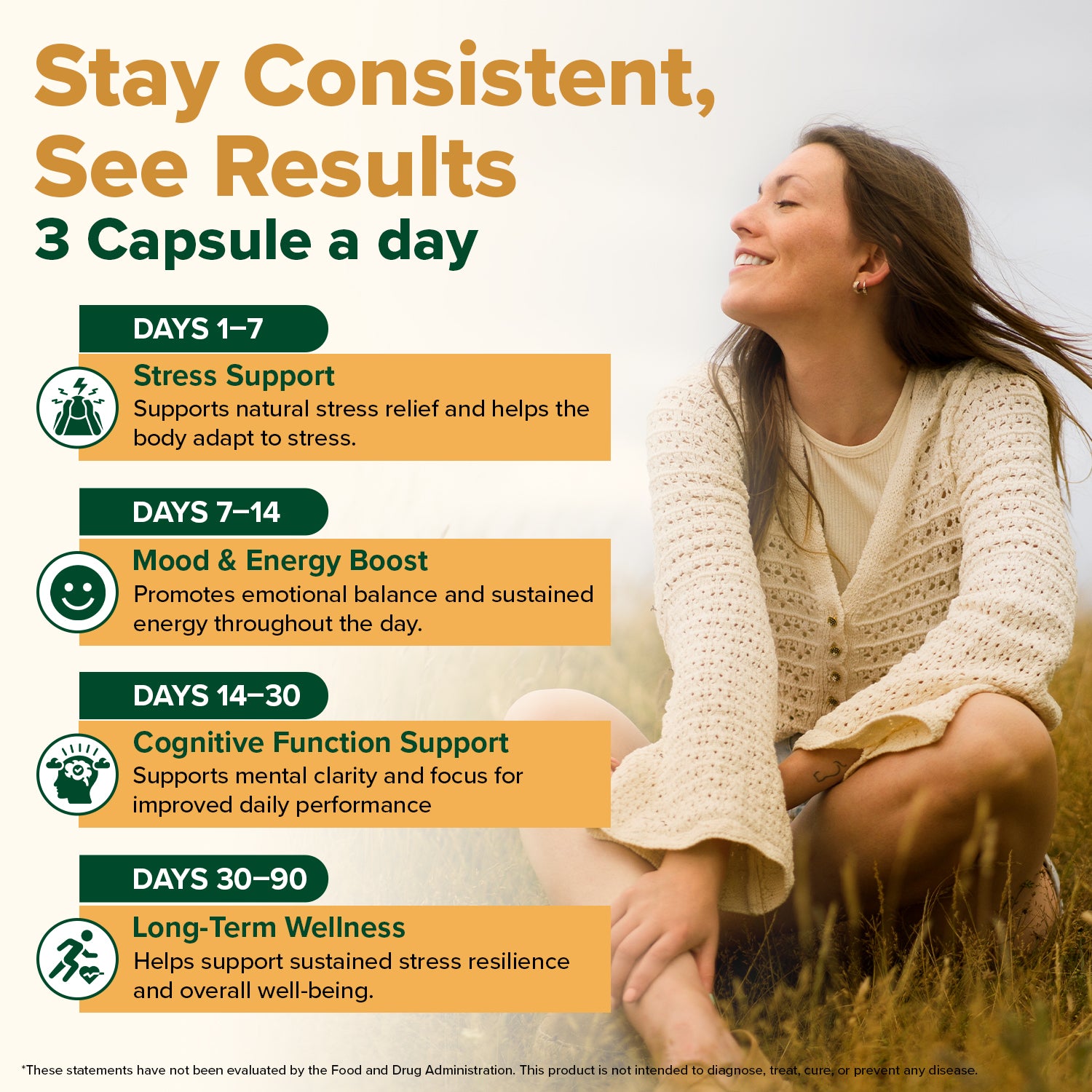 KSM-66® Ashwagandha Capsules - 1700 mg