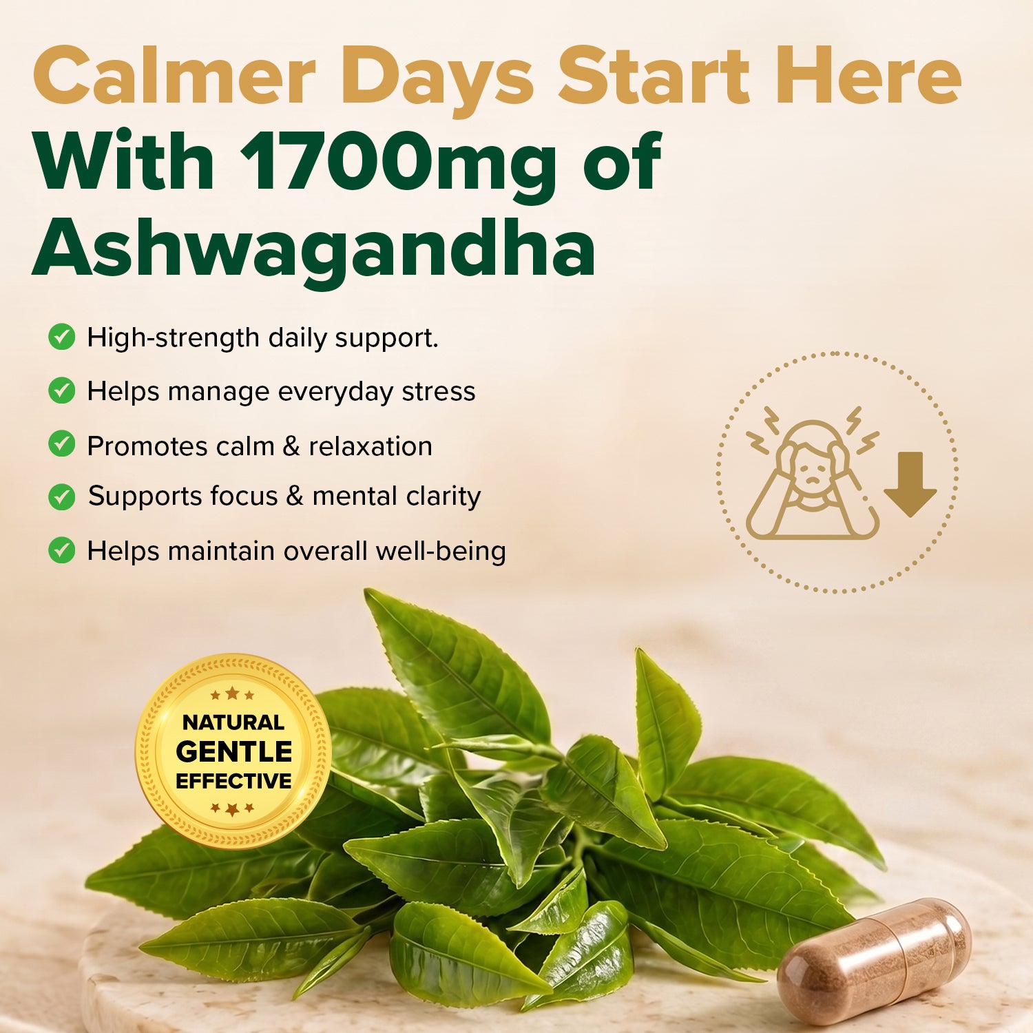 KSM-66® Ashwagandha Capsules - 1700 mg
