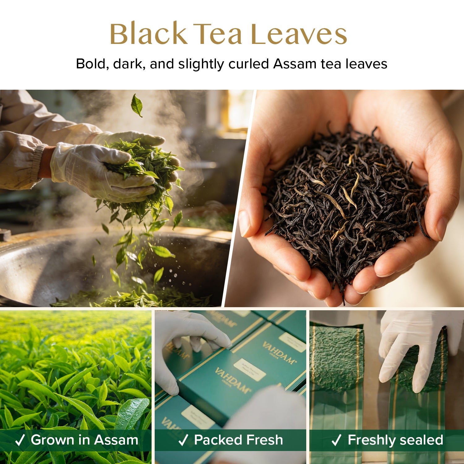 Assam Exotic Second Flush Black Tea, 3.53oz/100g