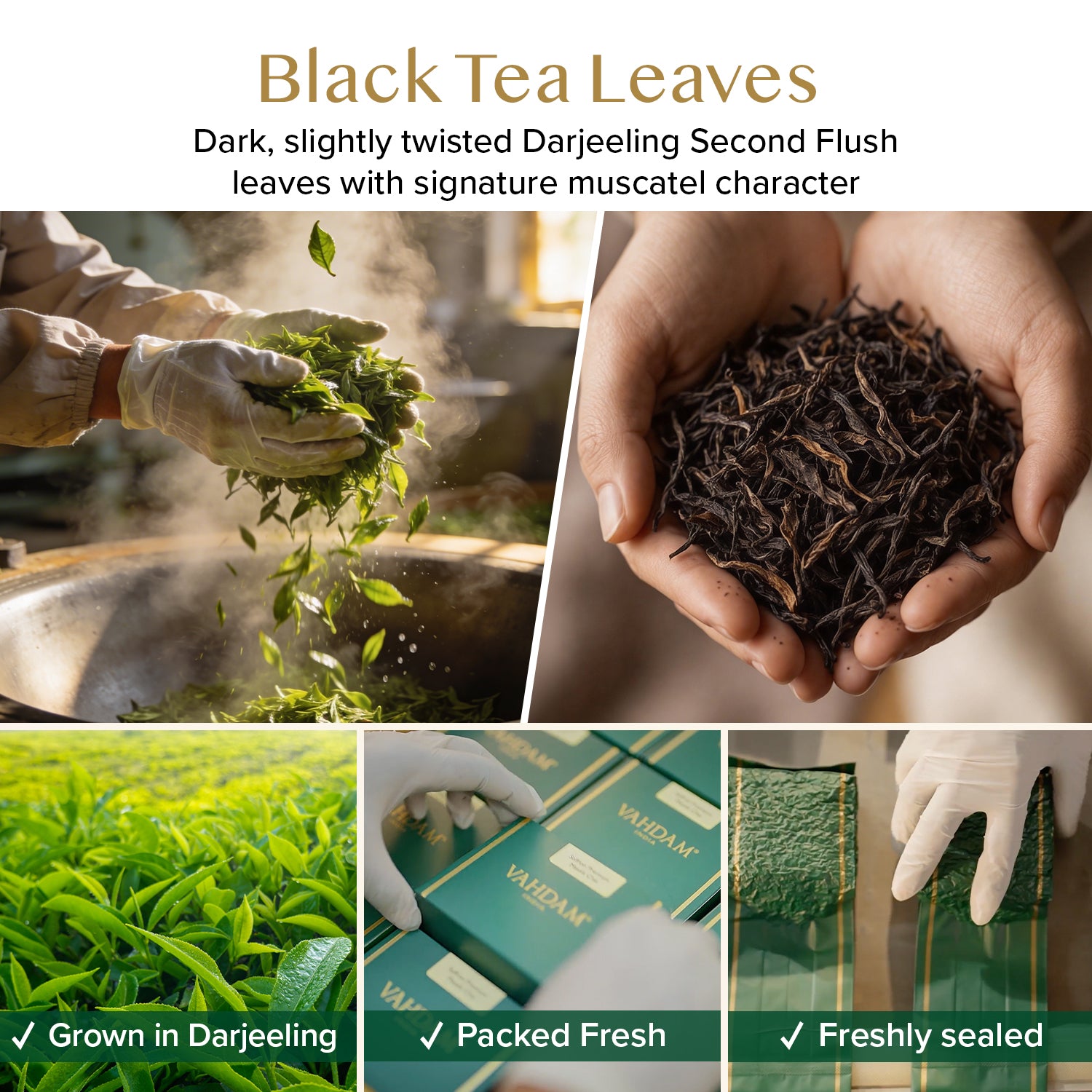 Imperial Muscatel Darjeeling Second Flush Black, 3.53oz/100g