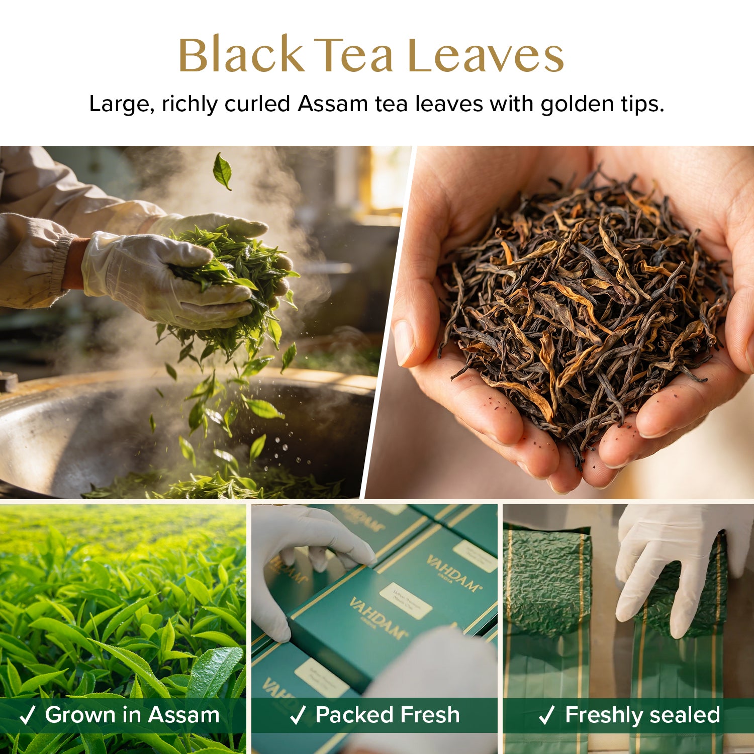 Assam Gold Second Flush Black Tea, 3.53 oz