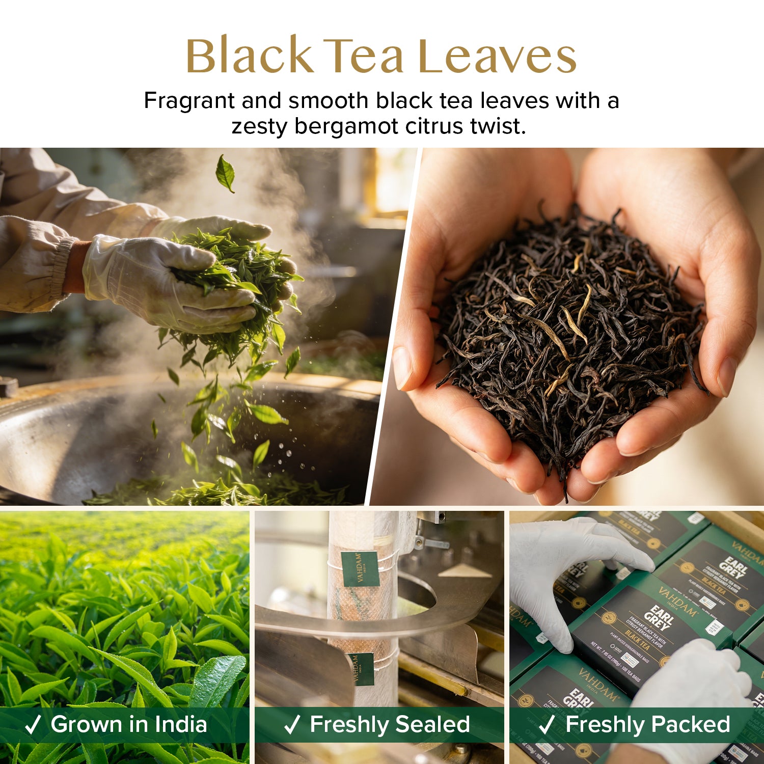 Earl Grey Black Tea, 100 Count