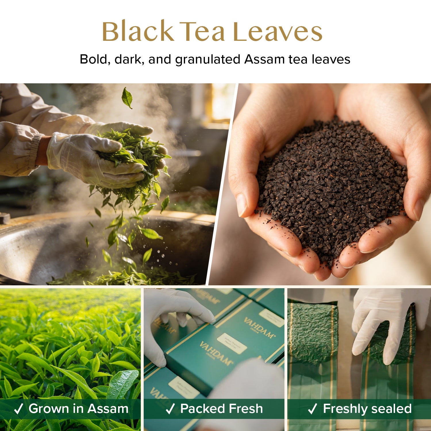 Applause CTC Assam Black Tea, 12oz/340g