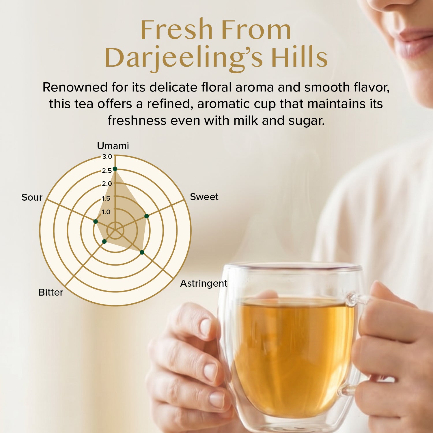 Darjeeling Premium First Flush Black Tea, 3.53oz/100g