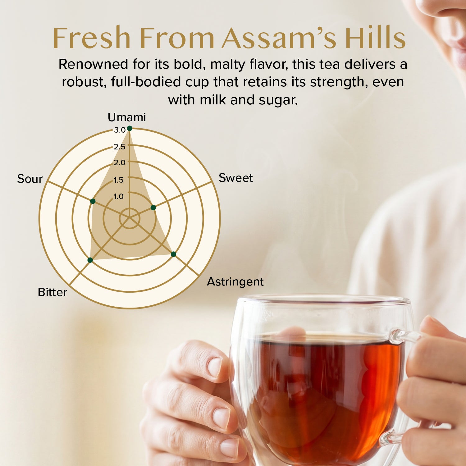 Assam Exotic Second Flush Black Tea, 3.53oz/100g