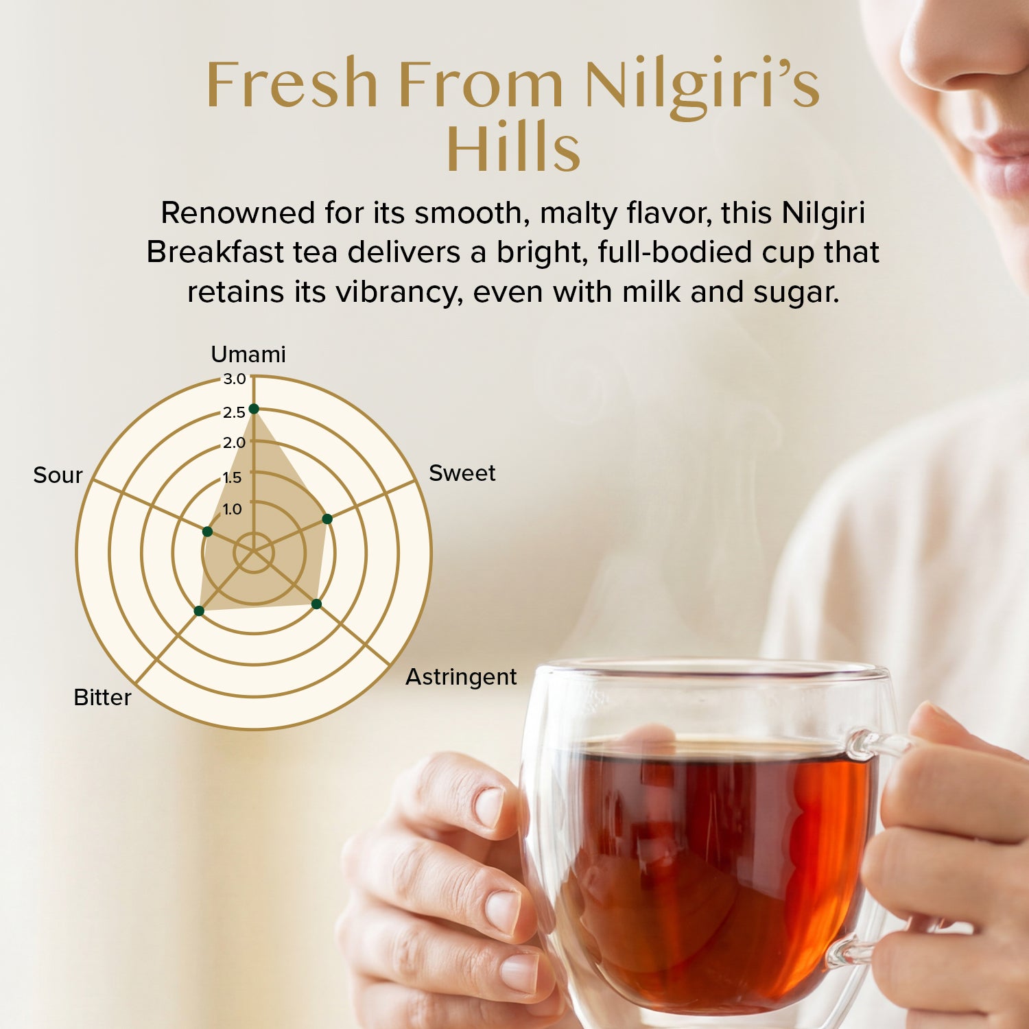 Nilgiri Breakfast Black Tea, 12oz/340g