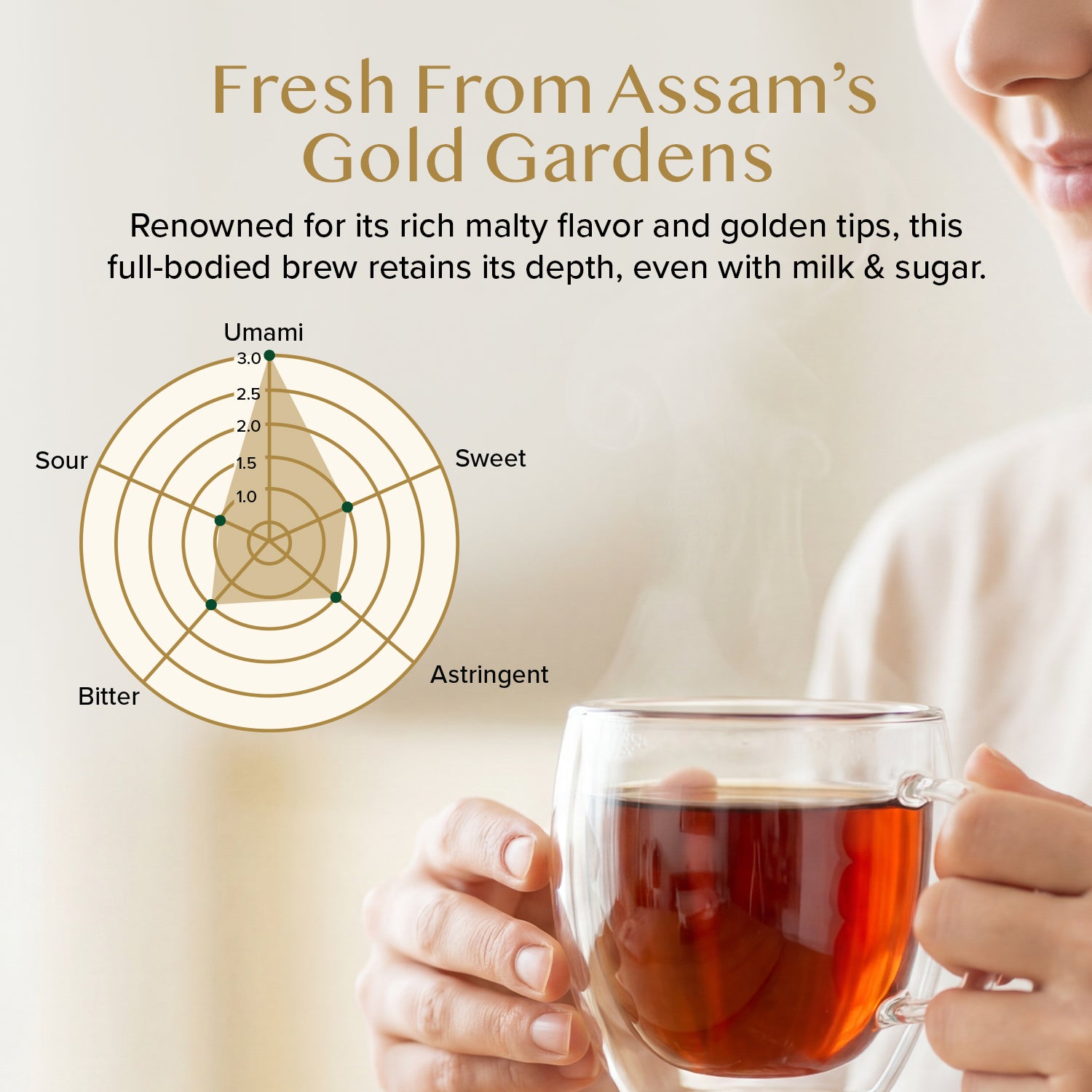 Assam Gold Second Flush Black Tea, 3.53 oz