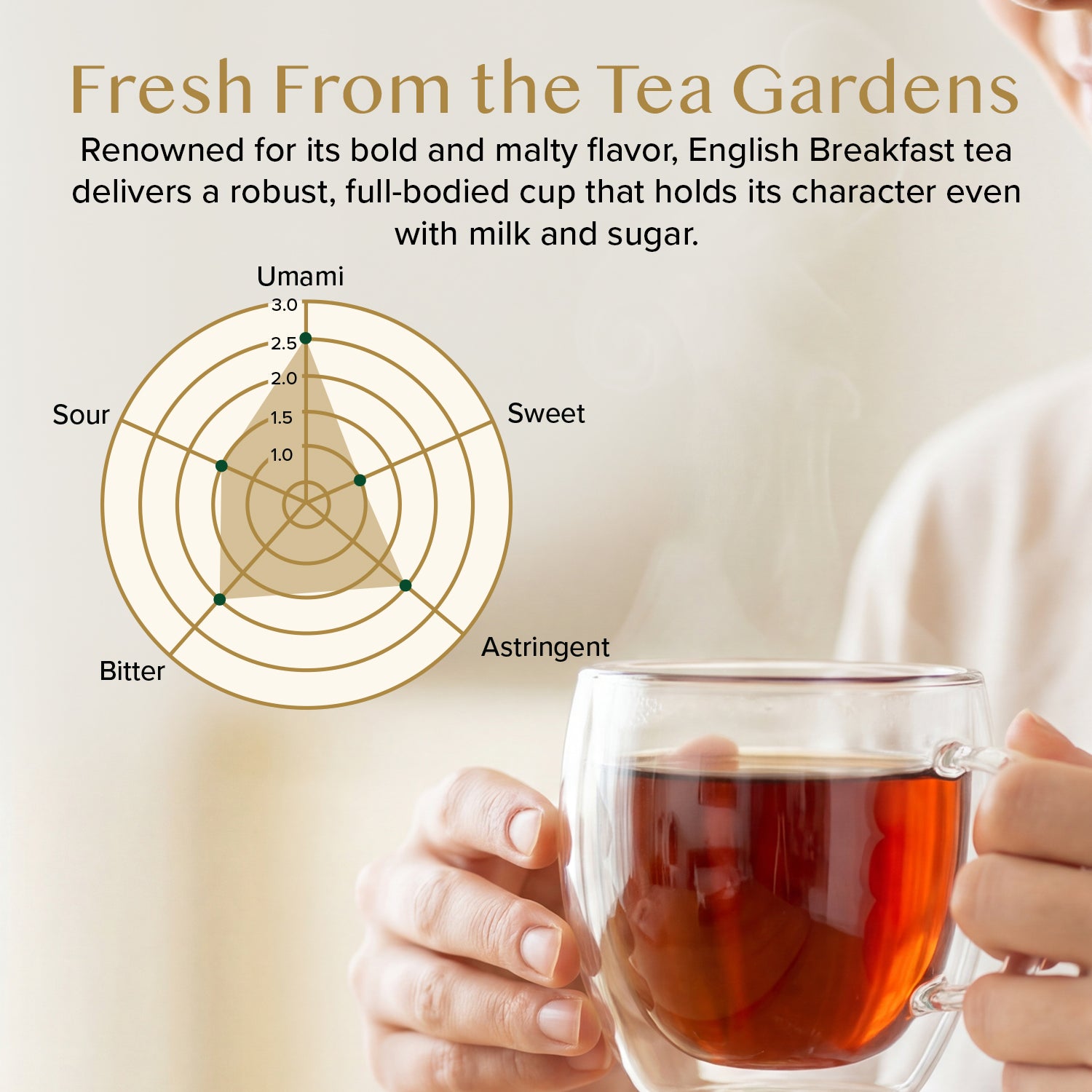 English Breakfast Black Tea, 12oz/340g