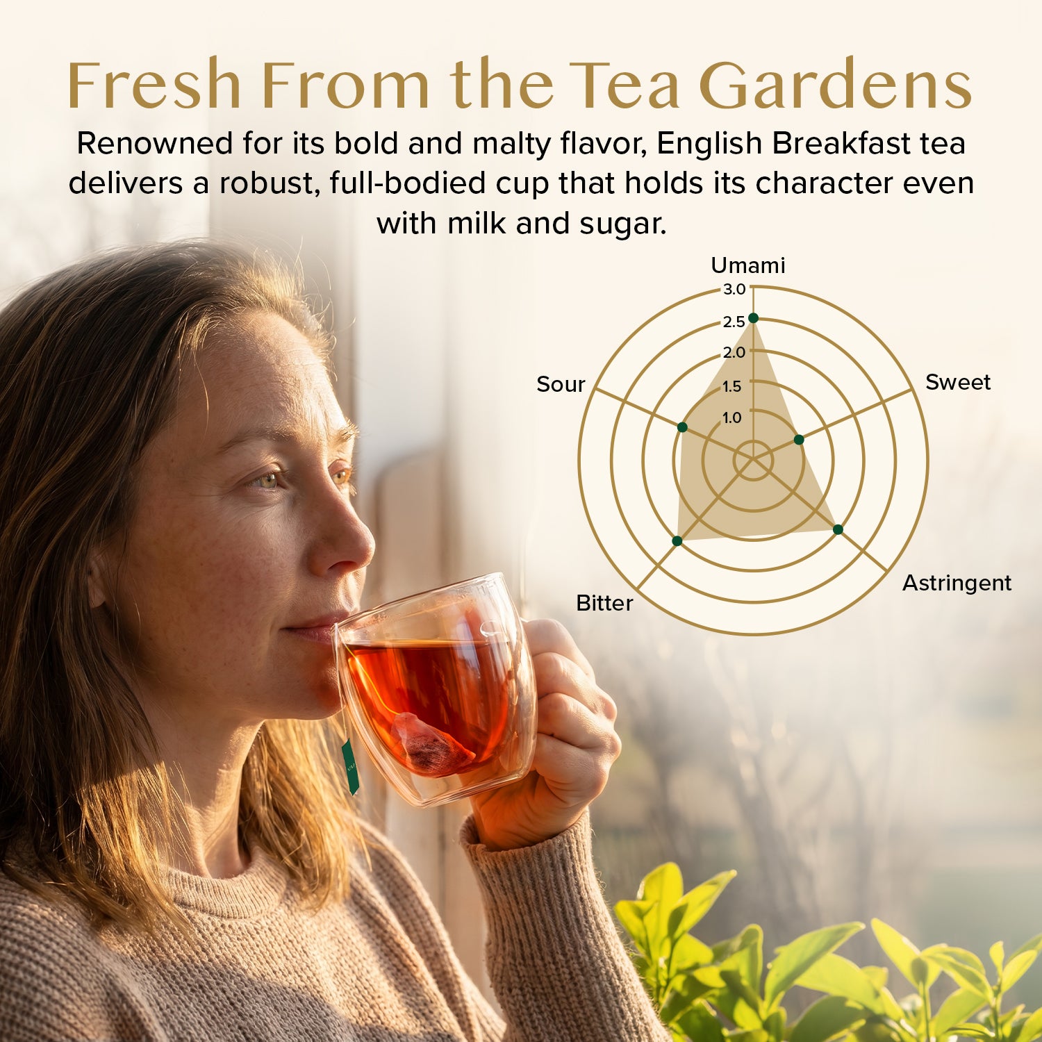 English Breakfast Black Tea, 100 Count