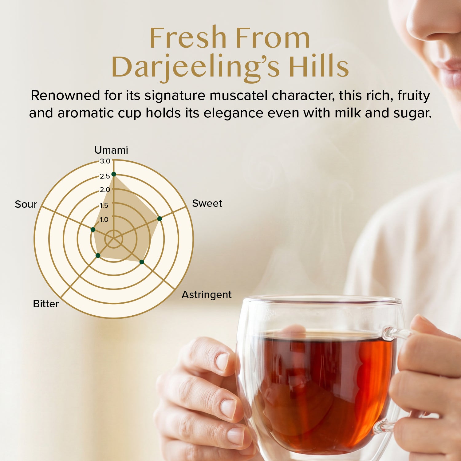 Imperial Muscatel Darjeeling Second Flush Black, 3.53oz/100g