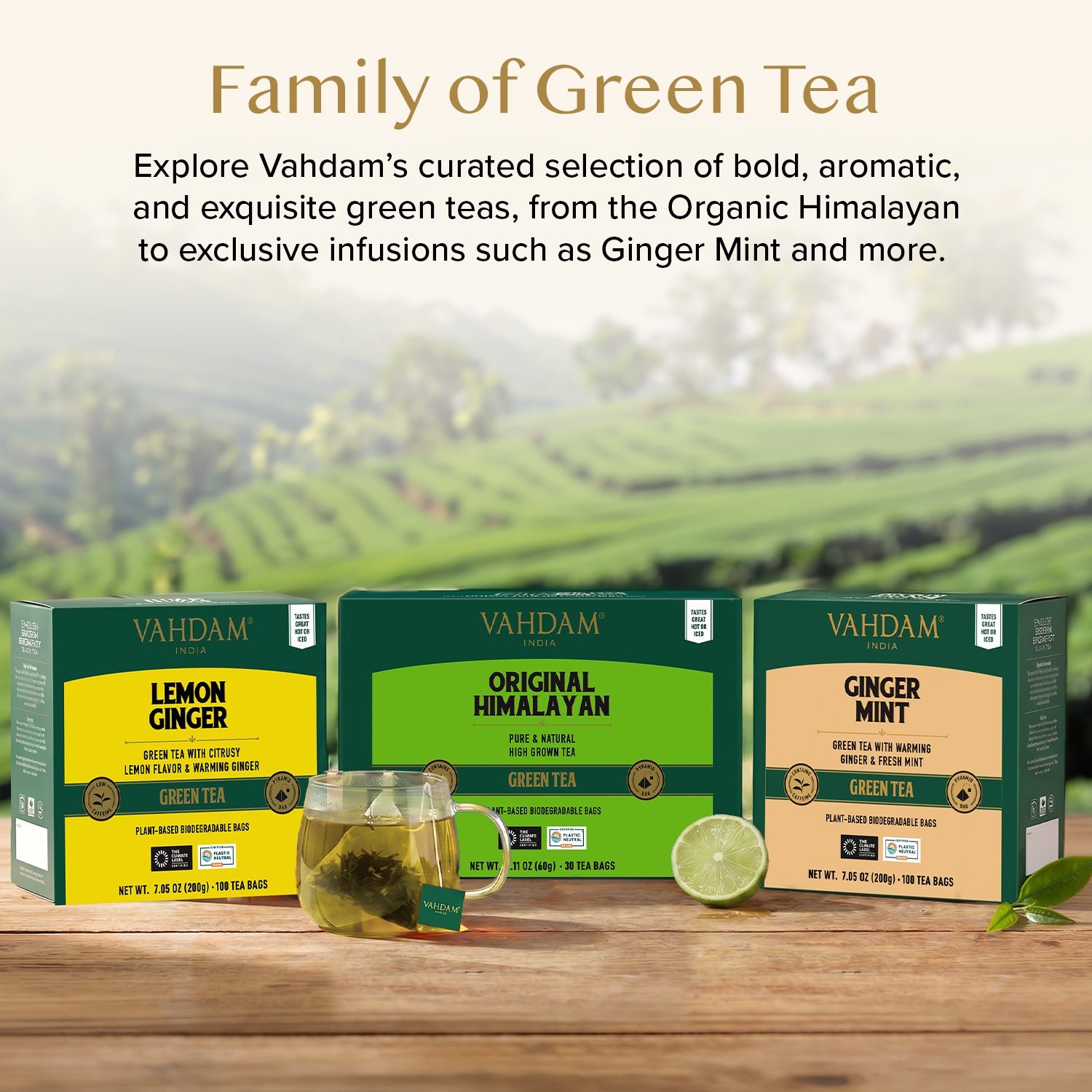 Himalayan Green Tea, 30 Count