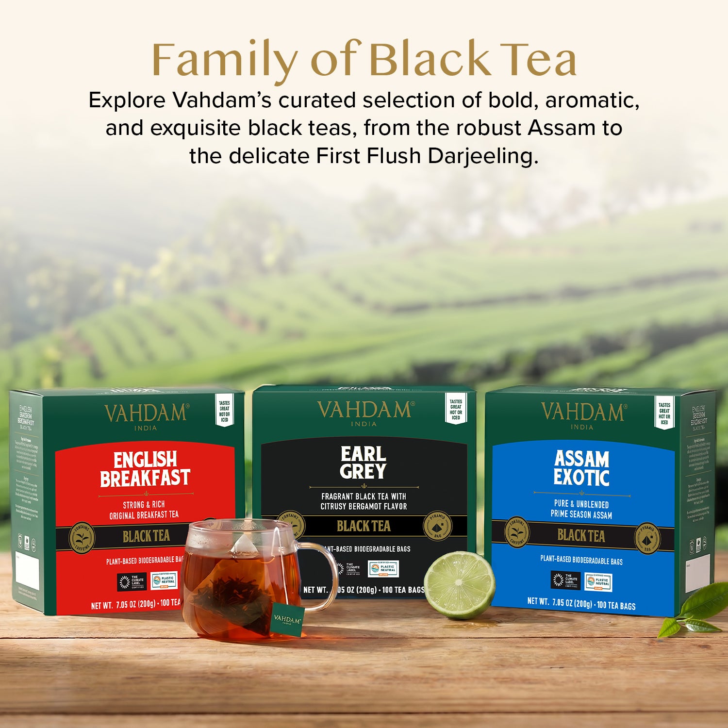 Earl Grey Black Tea, 100 Count