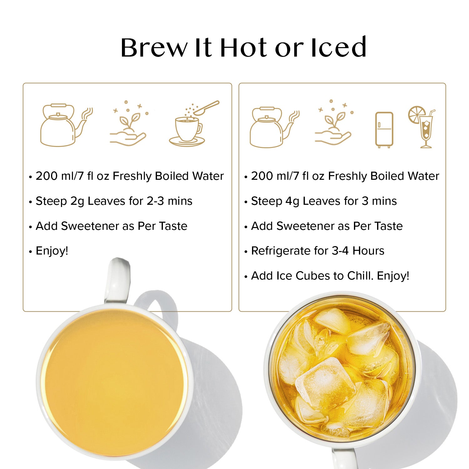 Green Tea Loose Leaf  Holiday Sampler, 10 Teas