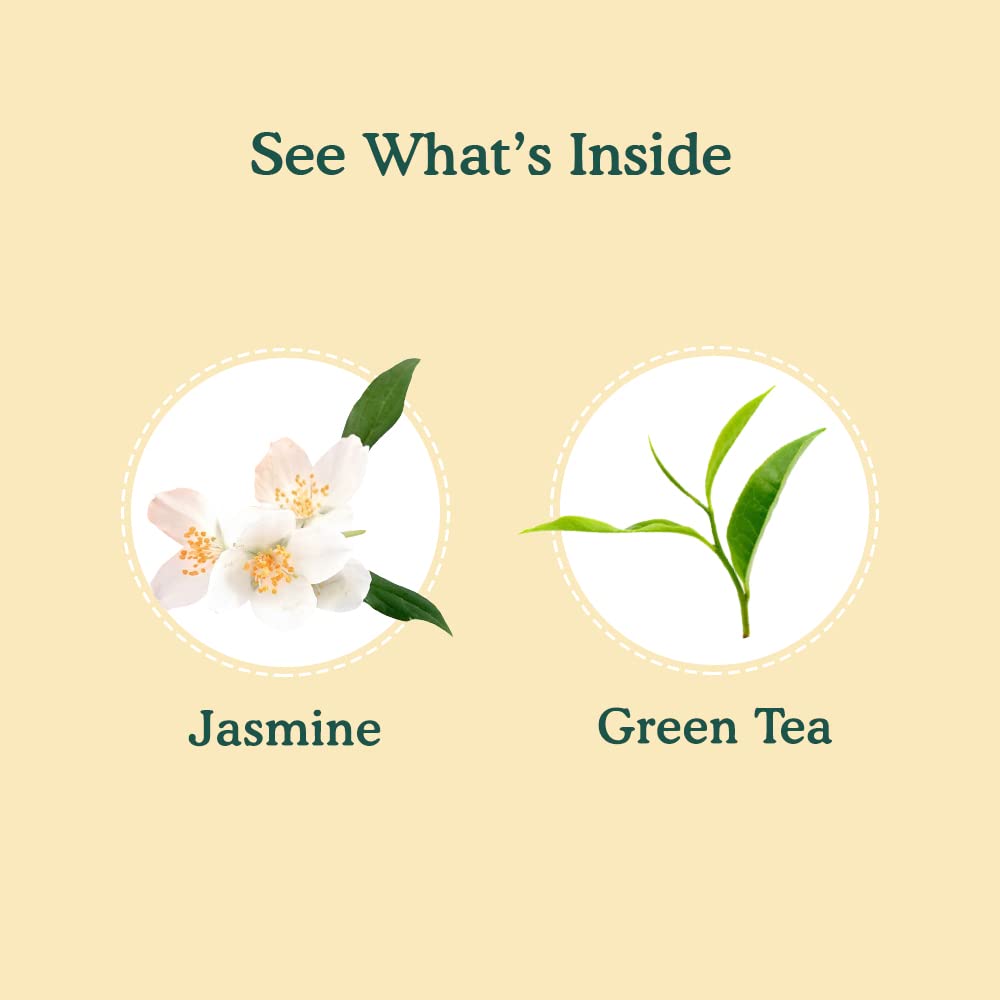 Jasmine Green Tea, 100 Count