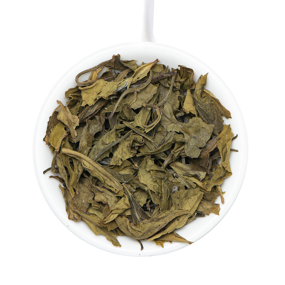 Blue Mountain Nilgiri White Tea, 1.76oz/50g